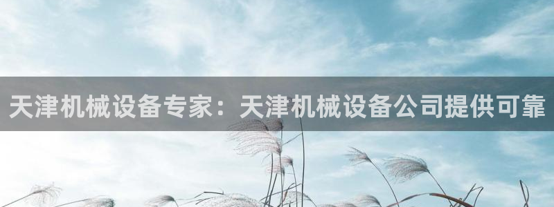 九游会ag官方网站