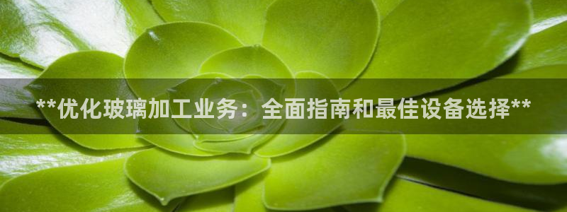 九游会app下载版官网正版安卓