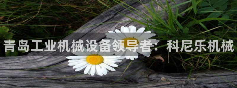 j9九游会老哥俱乐部八戒