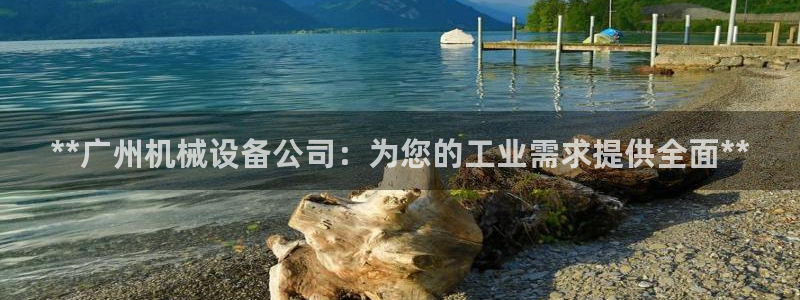 九游j9国际站