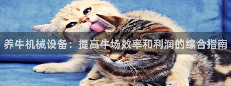 九游会j9官方网站