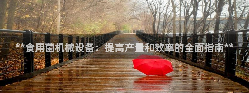 九游会中国j9