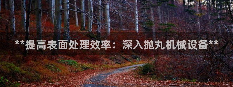 j9九游会登录入口首页