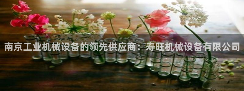 九游j9登录