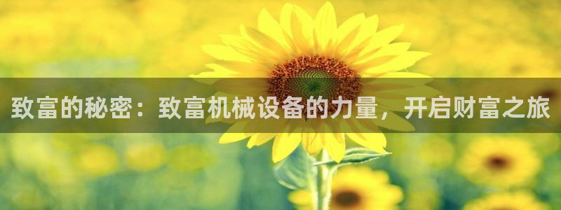 九游会网址最新