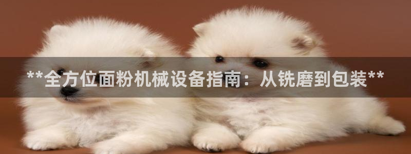 九游会中国j9 09.ag