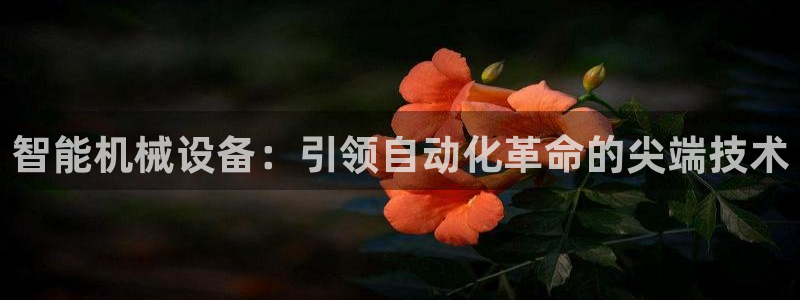 ag改名九游会