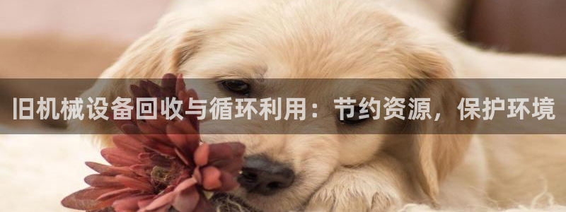 九游会官方网