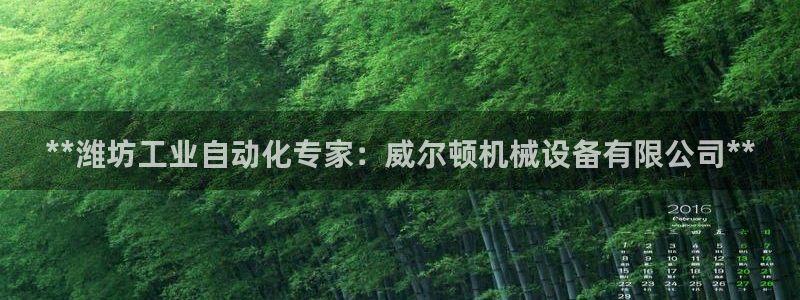 j9九游会备用网址
