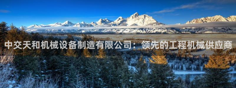 ag怎么变成九游会了