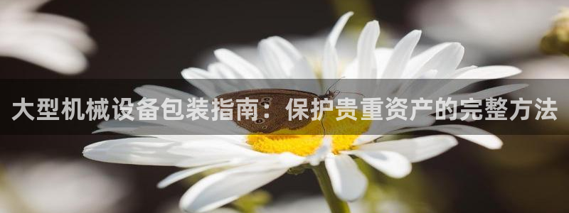 九游会中国入口嘛