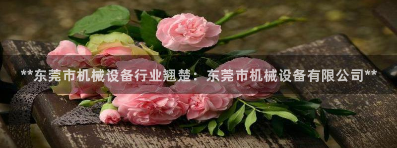 j9九游会官方网站国际