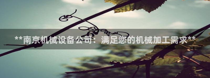 九游会ag登录j9