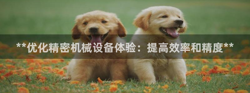 j9九游会官网入口