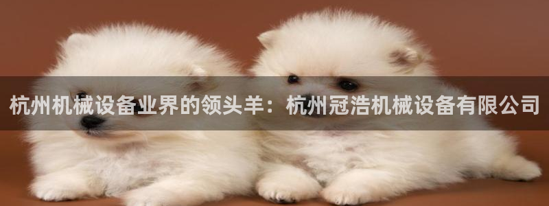 九游会官网登录AG