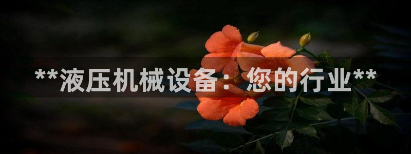 j9九游会官方网站国际怎么样