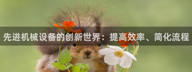 九游会网址是多少