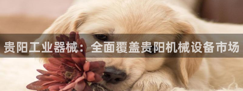九游会线上平台下架吗