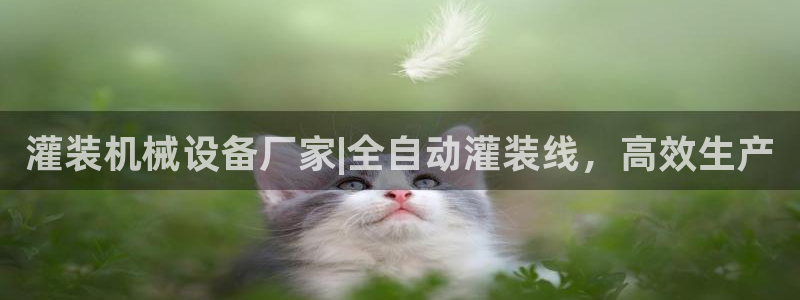 九游j9国际站官方网站
