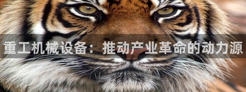 j9九游会老哥俱乐部
