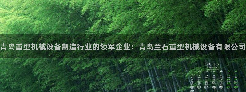 九游会网站打不开了