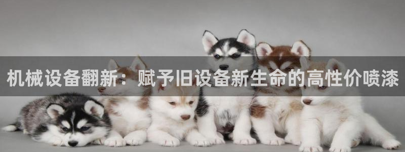 九游会平台入口