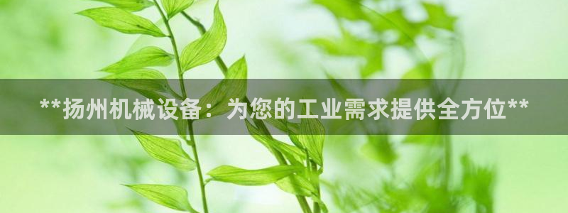 j9九游会体育