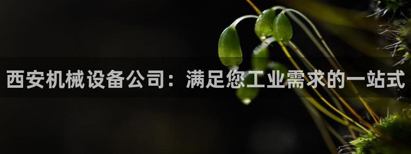 九游会官方网址