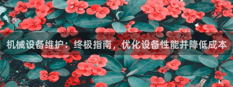 J9九游会登陆旧版