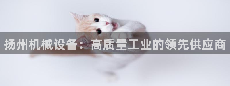 九游会 ag