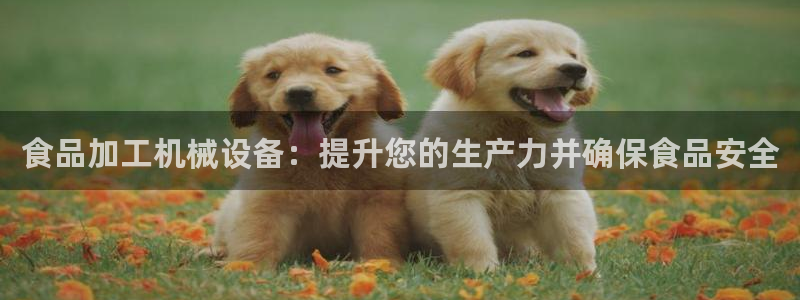 j9.cn