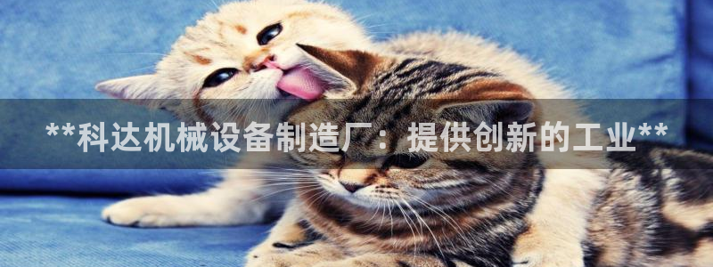 九游会a?g