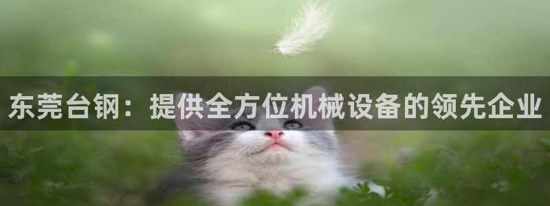 九游会不会凉