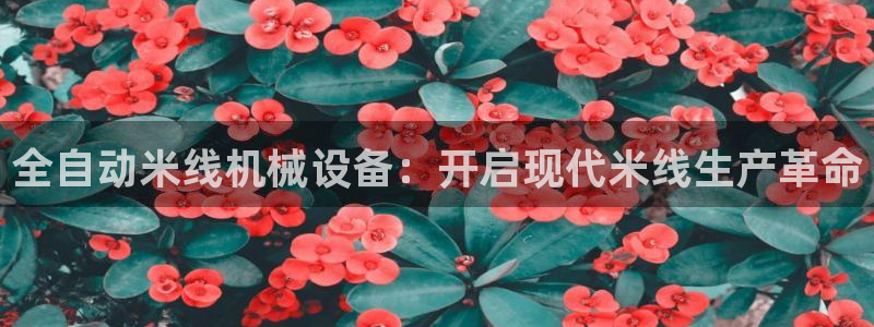 九游会的网址是多少