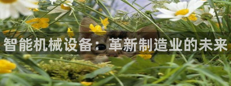 j9九游会合法吗