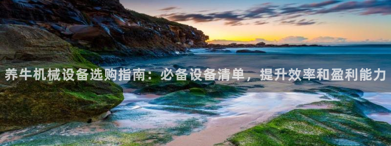 九游会网站网