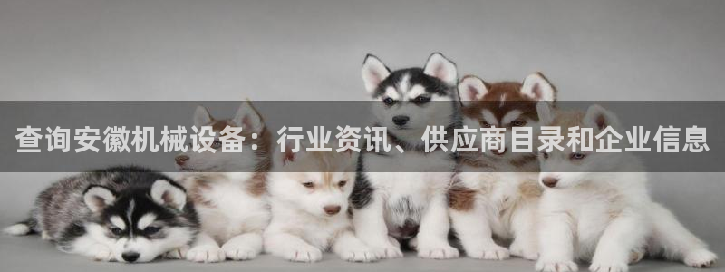 九游会游戏官网网页版