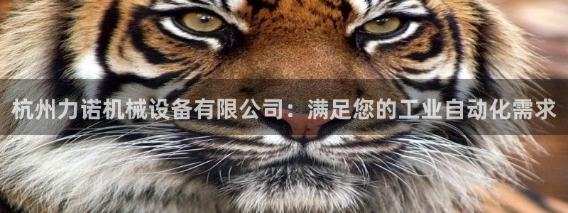 九游会网站网
