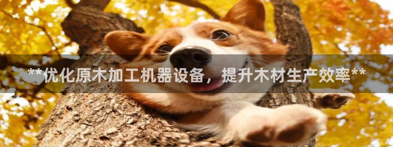 九游会app下载版官网正版手游