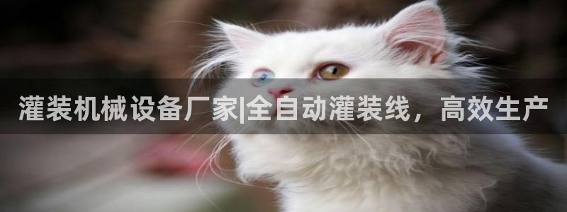 九游会平台老哥俱乐部