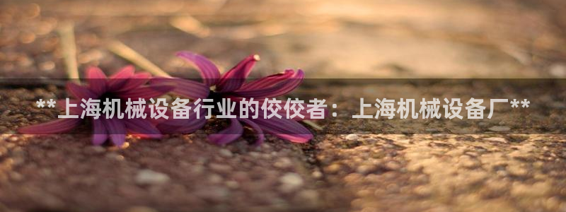 九游j9官方旗舰店