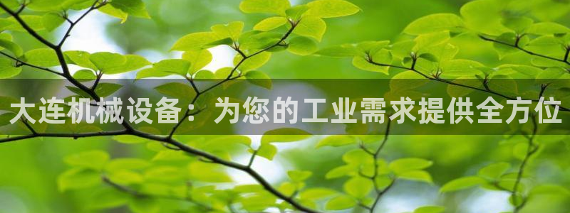九游会ag官方网站在哪