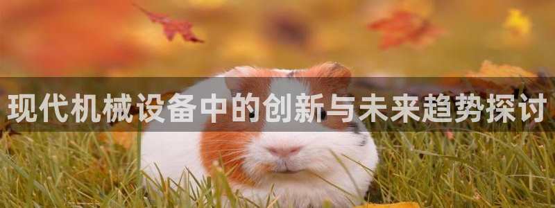 九游会游戏官网网页版