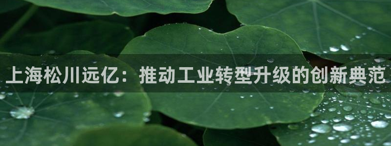 九游会app下载版官网正版安卓