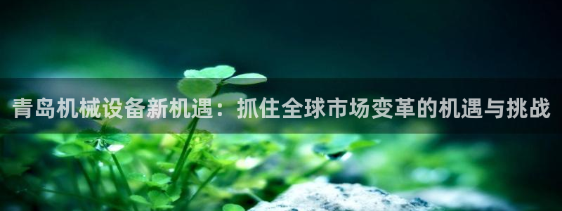 九游会 a g