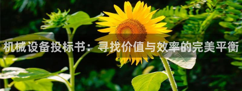 ag九游会微博