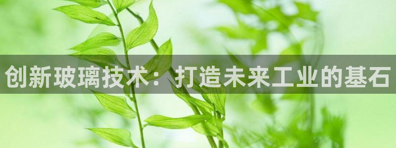 ag8九游会