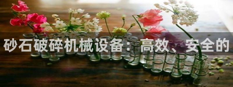 j9九游会官方网站