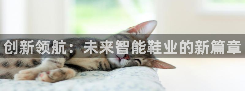 ag8亚洲九游会