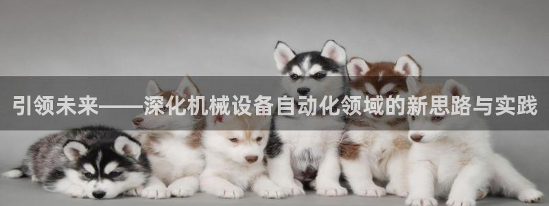 九游会网址是什么